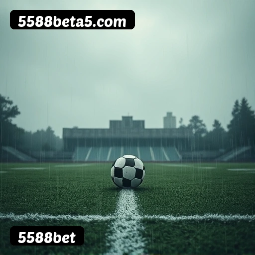 Níveis do programa VIP da 5588bet